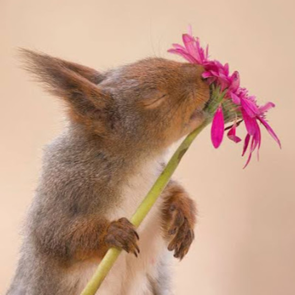 Meet your Posher, Mackenzie - Picture 1 of 1